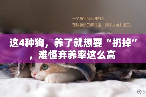 這4種狗，養了就想要“扔掉”，難怪棄養率這么高 