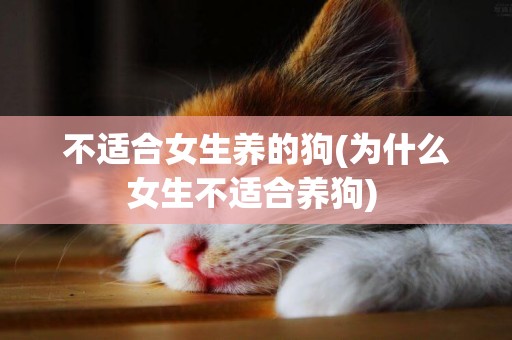 不適合女生養的狗(為什么女生不適合養狗) 