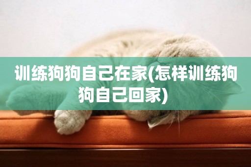 訓練狗狗自己在家(怎樣訓練狗狗自己回家) 