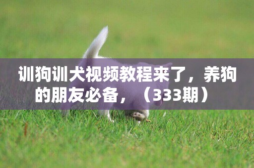 訓狗訓犬視頻教程來了，養狗的朋友必備，（333期） 