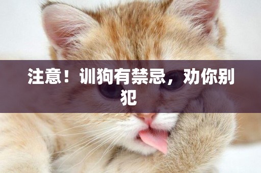 注意！訓狗有禁忌，勸你別犯 