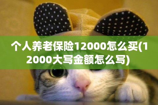 個人養老保險12000怎么買(12000大寫金額怎么寫) 