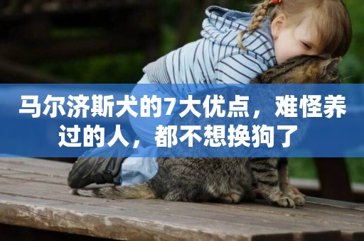 馬爾濟斯犬的7大優點，難怪養過的人，都不想換狗了 