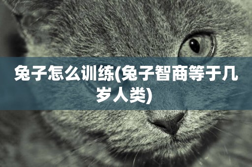 兔子怎么訓練(兔子智商等于幾歲人類) 