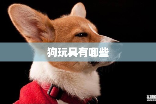 狗玩具有哪些
