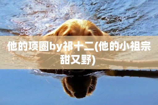 他的項圈by祁十二(他的小祖宗甜又野) 