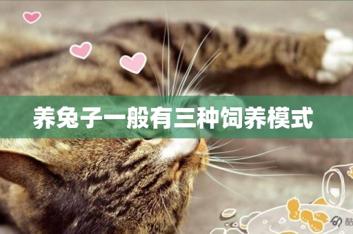 養兔子一般有三種飼養模式 