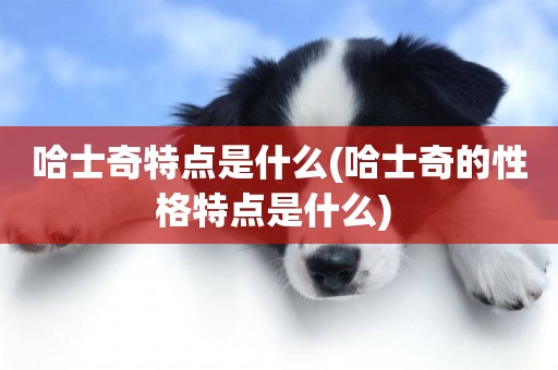 哈士奇特點是什么(哈士奇的性格特點是什么) 