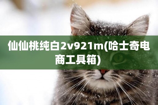仙仙桃純白2v921m(哈士奇電商工具箱) 