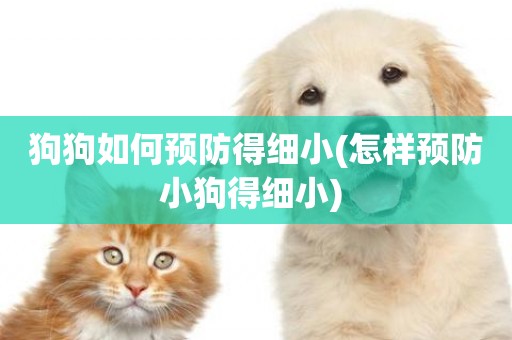 狗狗如何預防得細小(怎樣預防小狗得細小) 