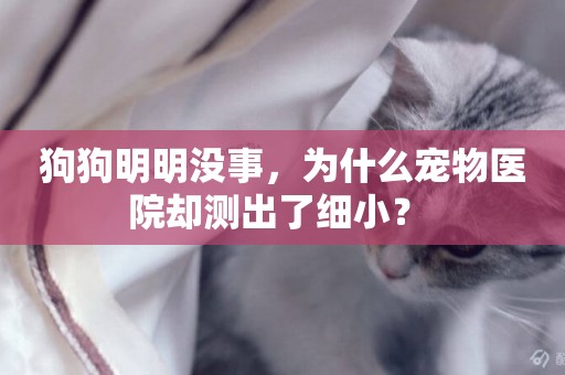 狗狗明明沒事，為什么寵物醫院卻測出了細小？ 
