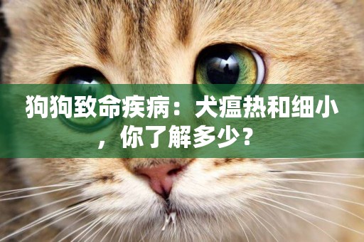 狗狗致命疾病：犬瘟熱和細小，你了解多少？ 