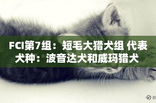 FCI第7組：短毛大獵犬組 代表犬種：波音達犬和威瑪獵犬 