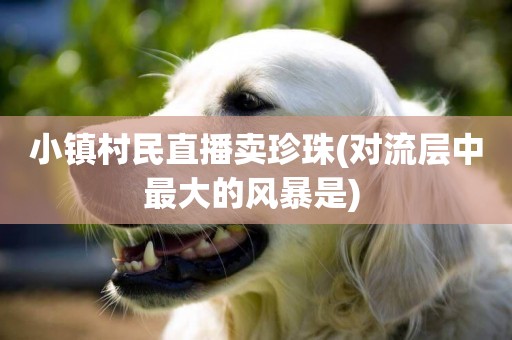 小鎮村民直播賣珍珠(對流層中最大的風暴是) 