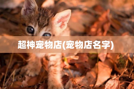 超神寵物店(寵物店名字) 