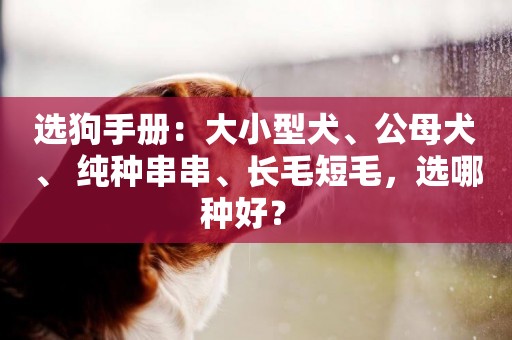 選狗手冊：大小型犬、公母犬、 純種串串、長毛短毛，選哪種好？ 