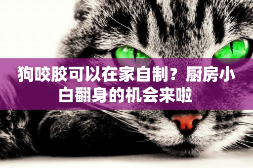 狗咬膠可以在家自制？廚房小白翻身的機會來啦 