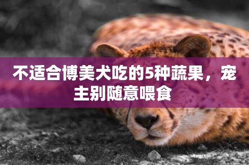 不適合博美犬吃的5種蔬果，寵主別隨意喂食 
