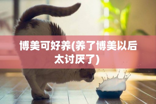 博美可好養(養了博美以后太討厭了) 
