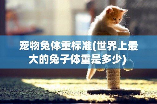 寵物兔體重標準(世界上最大的兔子體重是多少) 