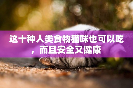 這十種人類食物貓咪也可以吃，而且安全又健康 