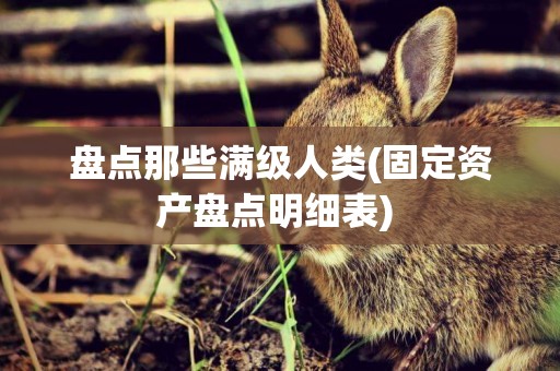 盤點那些滿級人類(固定資產盤點明細表) 