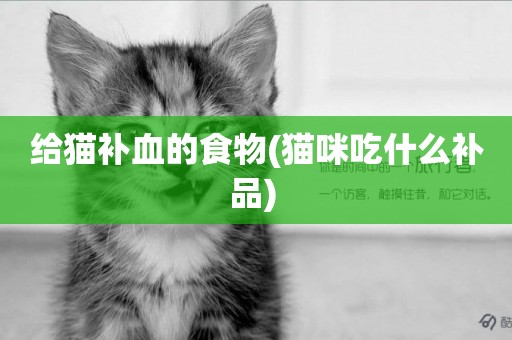 給貓補血的食物(貓咪吃什么補品) 