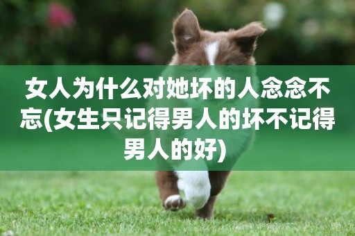 女人為什么對她壞的人念念不忘(女生只記得男人的壞不記得男人的好) 