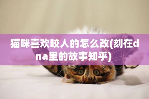 貓咪喜歡咬人的怎么改(刻在dna里的故事知乎) 