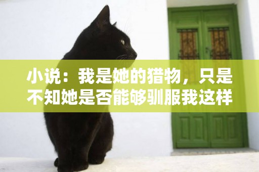小說：我是她的獵物，只是不知她是否能夠馴服我這樣一個小野貓 