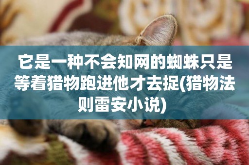 它是一種不會知網的蜘蛛只是等著獵物跑進他才去捉(獵物法則雷安小說) 
