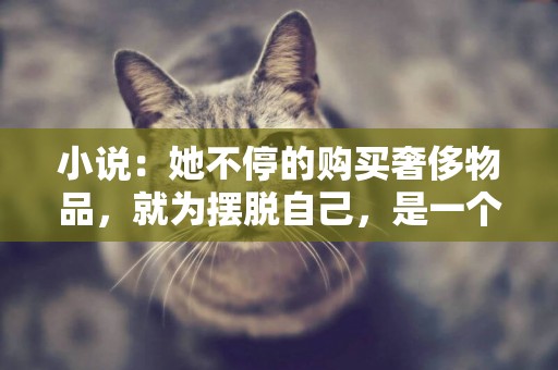小說：她不停的購買奢侈物品，就為擺脫自己，是一個窮山溝的出生 