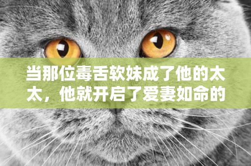 當那位毒舌軟妹成了他的太太，他就開啟了愛妻如命的瘋狂模式 