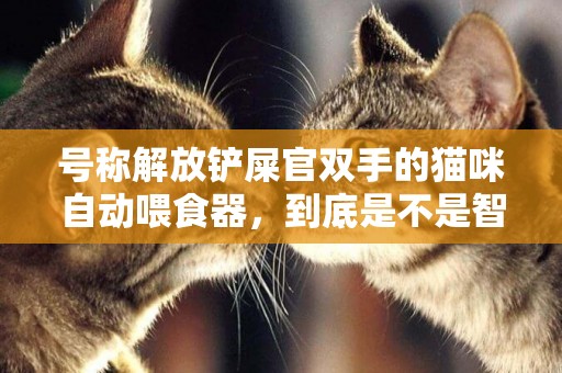 號稱解放鏟屎官雙手的貓咪自動喂食器，到底是不是智商稅？ 