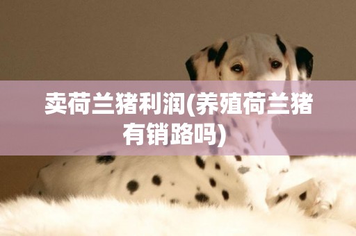 賣荷蘭豬利潤(養殖荷蘭豬有銷路嗎) 
