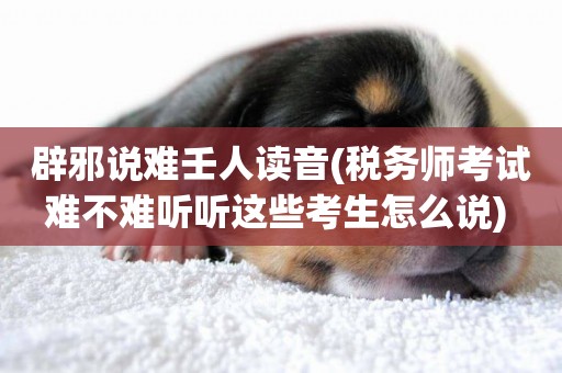 辟邪說難壬人讀音(稅務師考試難不難聽聽這些考生怎么說) 