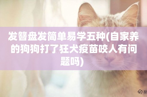 發簪盤發簡單易學五種(自家養的狗狗打了狂犬疫苗咬人有問題嗎) 