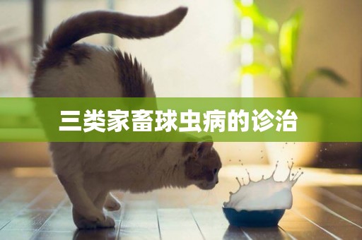 三類家畜球蟲病的診治 