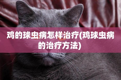 雞的球蟲病怎樣治療(雞球蟲病的治療方法) 