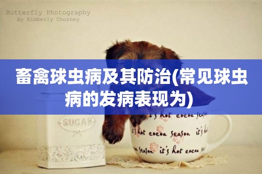畜禽球蟲病及其防治(常見球蟲病的發病表現為) 