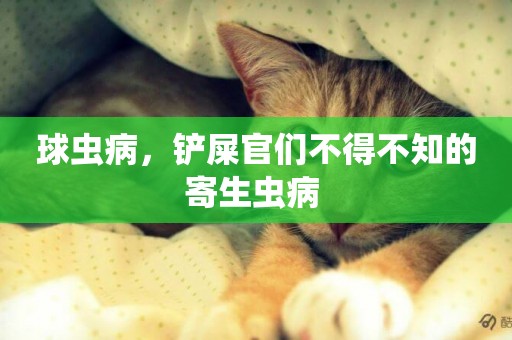 球蟲病，鏟屎官們不得不知的寄生蟲病 