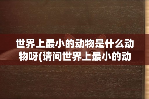 世界上最小的動物是什么動物呀(請問世界上最小的動物是什么) 