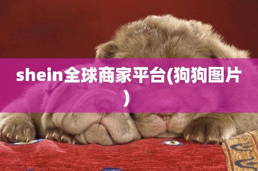 shein全球商家平臺(狗狗圖片) 