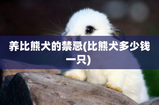 養比熊犬的禁忌(比熊犬多少錢一只) 