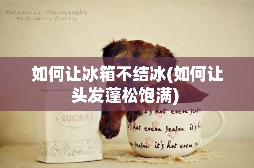 如何讓冰箱不結冰(如何讓頭發蓬松飽滿) 