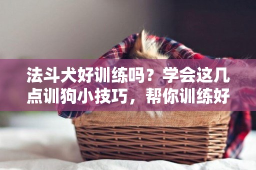 法斗犬好訓練嗎？學會這幾點訓狗小技巧，幫你訓練好你家的愛寵 