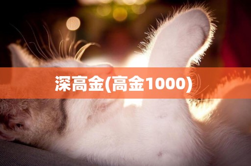 深高金(高金1000) 
