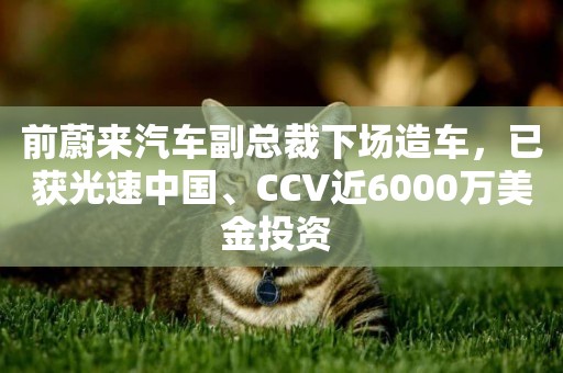 前蔚來汽車副總裁下場造車，已獲光速中國、CCV近6000萬美金投資 