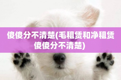 傻傻分不清楚(毛租賃和凈租賃傻傻分不清楚) 