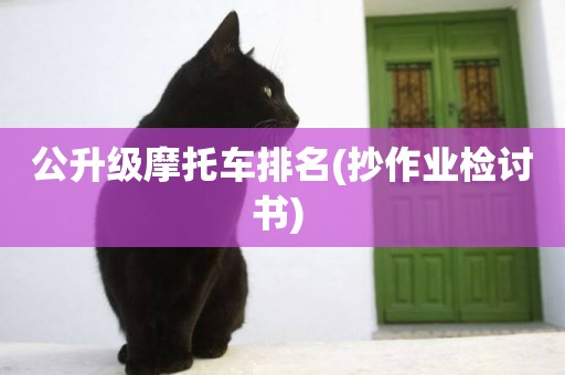 公升級摩托車排名(抄作業檢討書) 